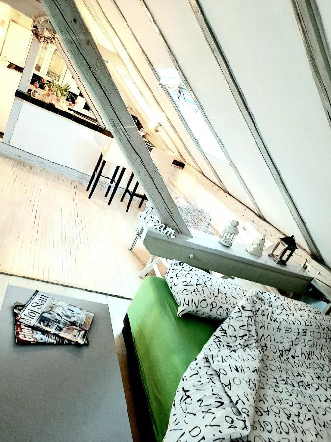 Apartmán Deki & Kolet Bělehrad Exteriér fotografie