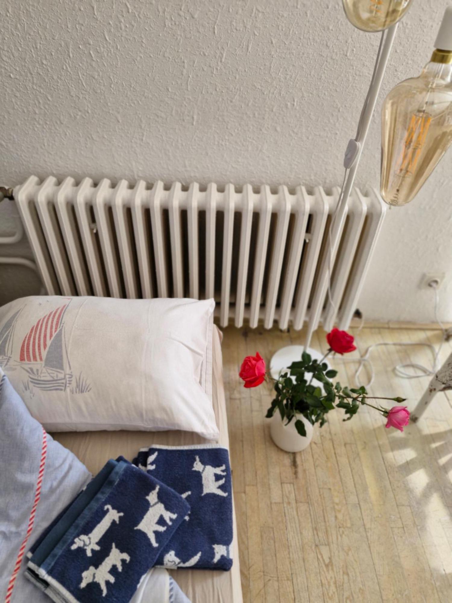 Apartmán Deki & Kolet Bělehrad Exteriér fotografie
